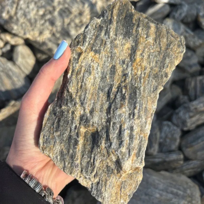 Kora kamienna (Savanna Stripes)