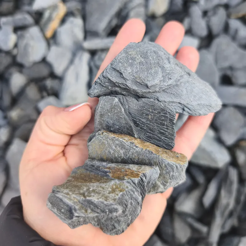 Kora kamienna grafitowa (Night Slate)