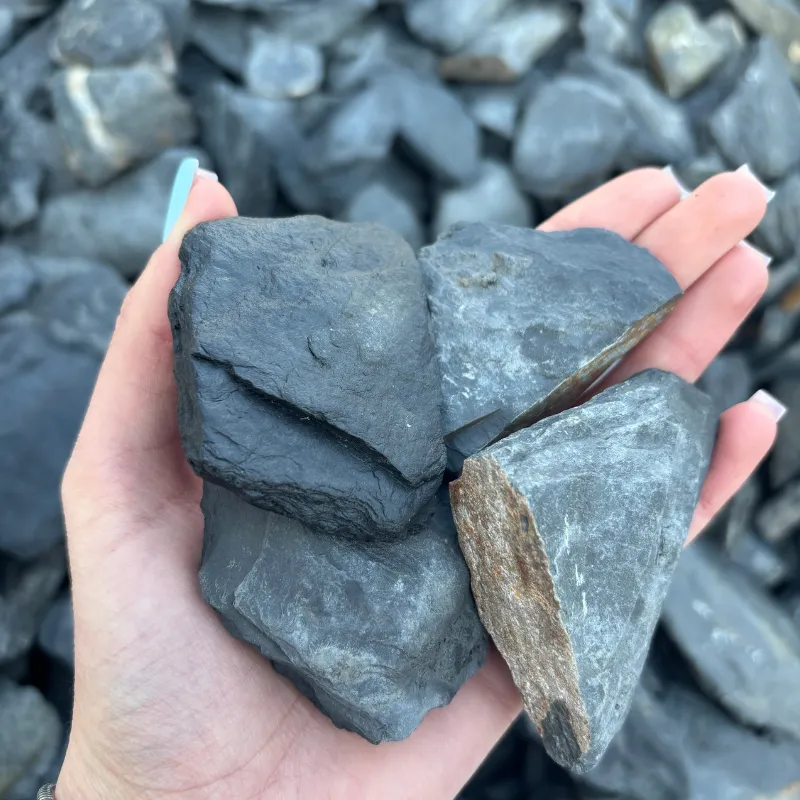 Kora kamienna ciemna (Dark Titan)