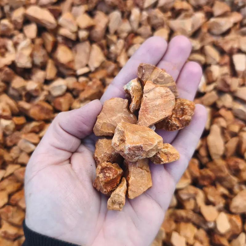 Grys ogrodowy złoty piaskowy (Sahara Gold)