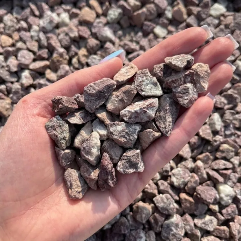 Grys ogrodowy czerwony (Red Elegance)